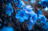 a bunch of beautiful blue flowers in a tree in