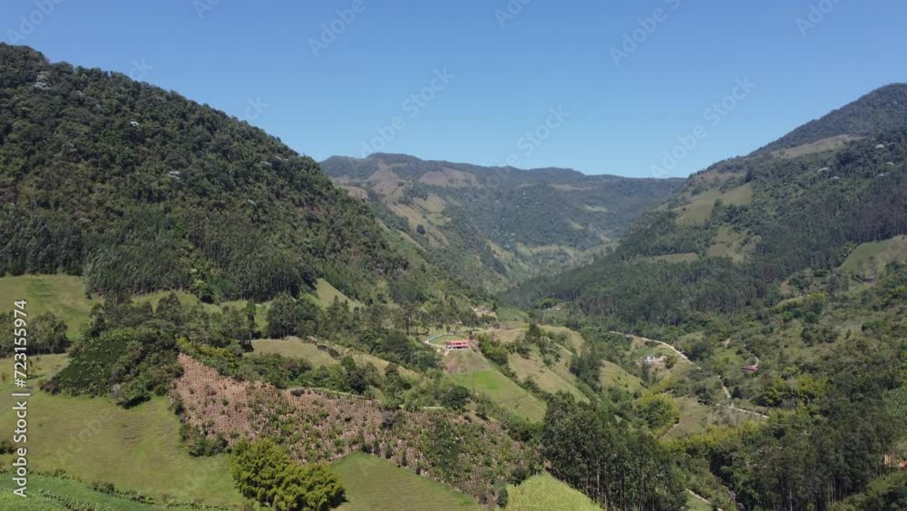 valley full of green mountains sunny day green tones and vivid color nature banana plantation latin colombia