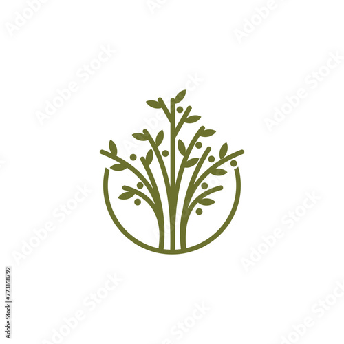 Tree logo icon template design. Garden plant natural line symbol. Green branch with leaves business sign. Vector illustration. Suitable for your design need, logo, illustration, animation, etc.