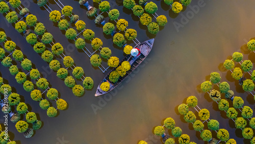 Aerial view of Sa Dec flower garden in Dong Thap province, Vietnam. It's famous in Mekong Delta, preparing transport flowers to the market for sale in Tet holiday. photo