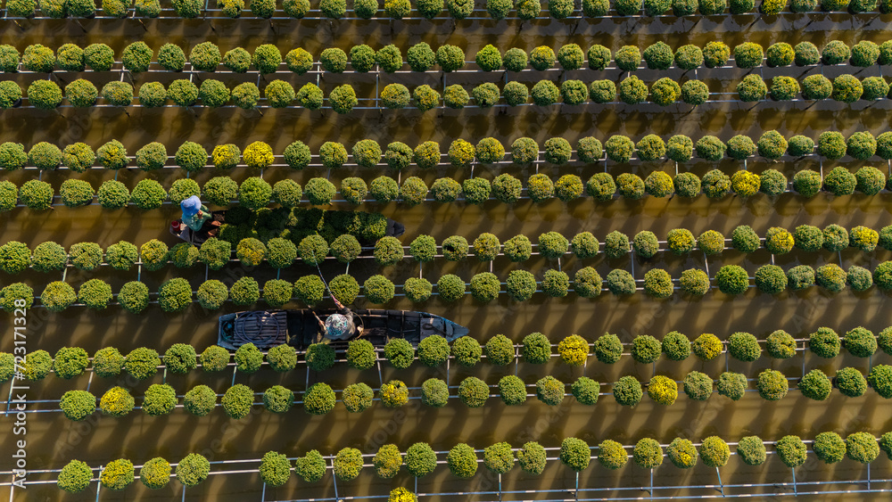Obraz premium Aerial view of Sa Dec flower garden in Dong Thap province, Vietnam. It's famous in Mekong Delta, preparing transport flowers to the market for sale in Tet holiday.