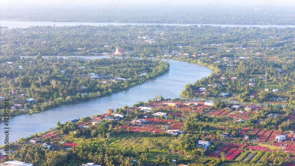 Fototapeta premium Aerial view of Cho Lach flower garden in Ben Tre, Vietnam. It's famous in Mekong Delta, preparing transport flowers to the market for sale in Tet holiday