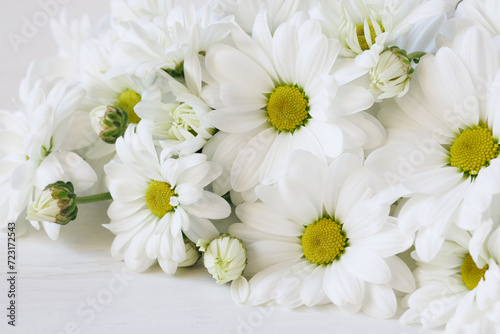 White chrysanthemum flowers on a wooden background  close-up  blur  beautiful holiday card.