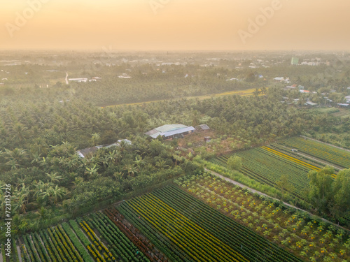 Aerial view of My Phong flower garden in My Tho, Vietnam. It's famous in Mekong Delta, preparing transport flowers to the market for sale in Tet holiday