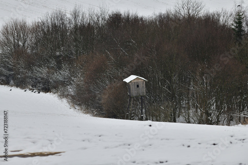 Obraz na płótnie Hunting hidden cottage from wooden in meadow near forest in winter w salonie