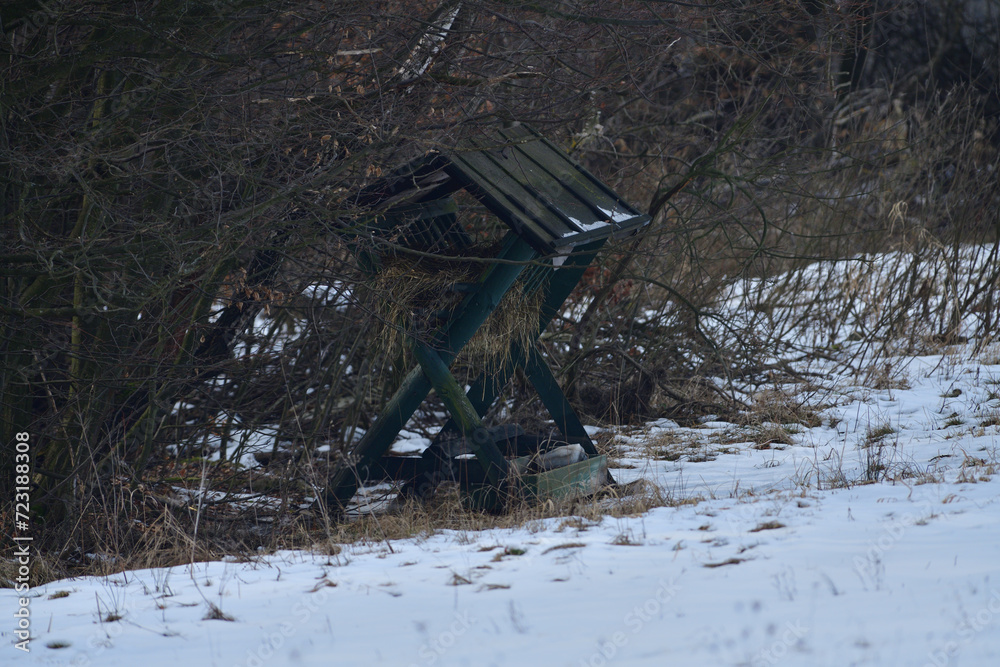 Animal feeder rack with hay for wildlife animal in winter