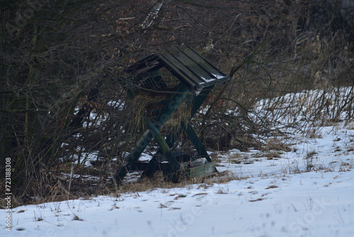 Obraz na płótnie Animal feeder rack with hay for wildlife animal in winter w salonie