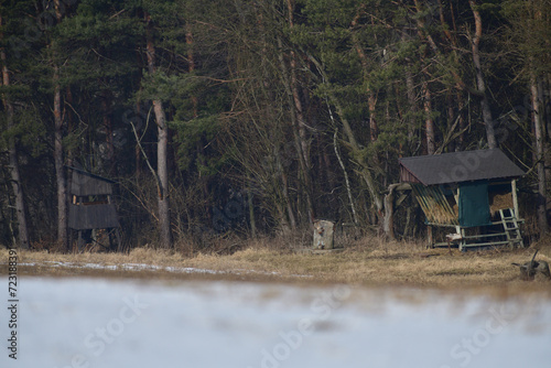 Obraz na płótnie Feed rack for forest animals on the edge of the forest in winter w salonie