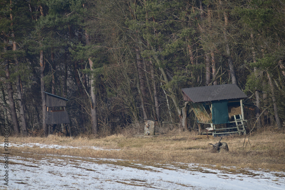 Feed rack for forest animals on the edge of the forest in winter