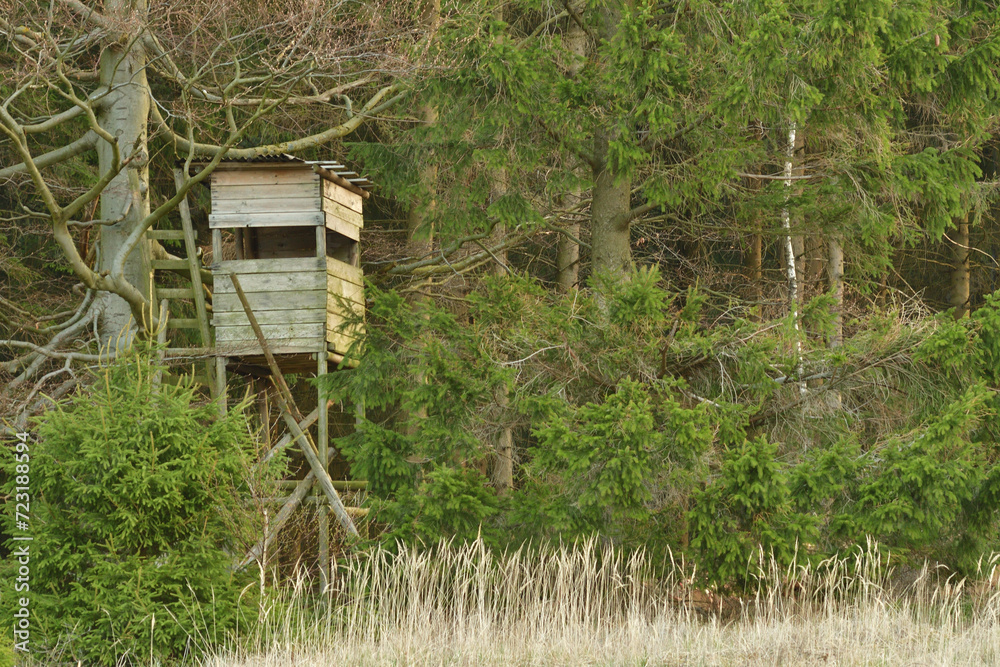 A wooden cottage for hunters hidden in the crown of a tree