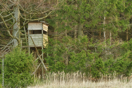 A wooden cottage for hunters hidden in the crown of a tree