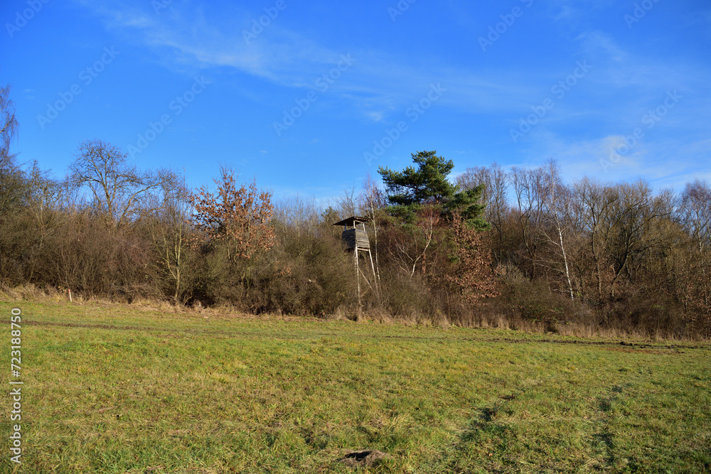 A wooden cottage for hunters hidden in the crown of a tree