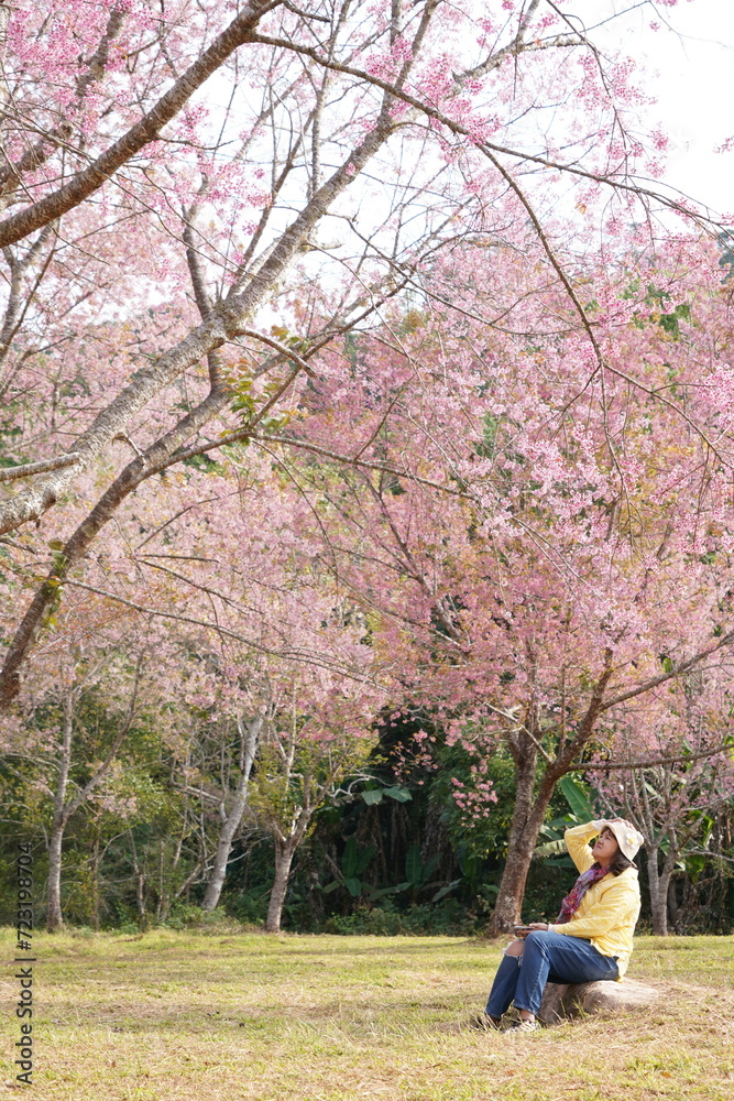 female backpacker sits on a forested mountain with cherry blossom trees blooming in the valley behind. female backpacker sits on a forested mountain with cherry blossom trees blooming in the valley behind.