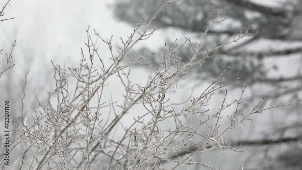 Beautiful scenery of mountains and forests in Korea with heavy snow Beautiful scenery of mountains and forests in Korea with heavy snow