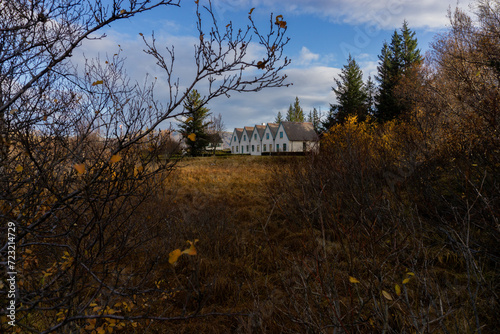 CASAS TIPICAS TRAS LOS ARBOLES