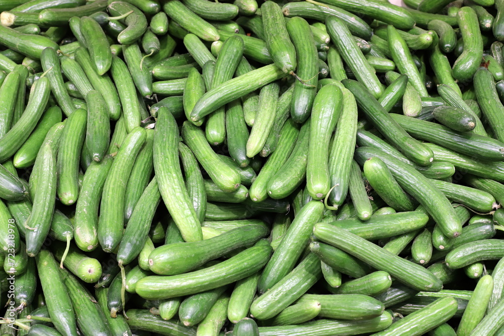 Vegetables and fruits are sold in January at the bazaar in Tel Aviv. Vegetables and fruits are sold in January at the bazaar in Tel Aviv.
