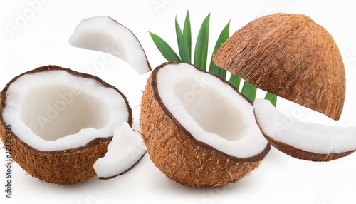 falling coconuts pieces isolated on white background with clipping path full depth of field