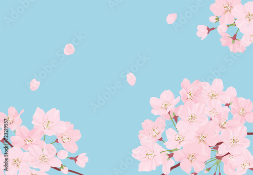 さくらの背景素材
