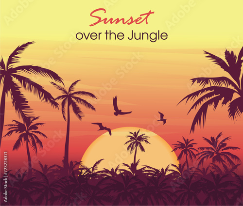 sunset over the jungle