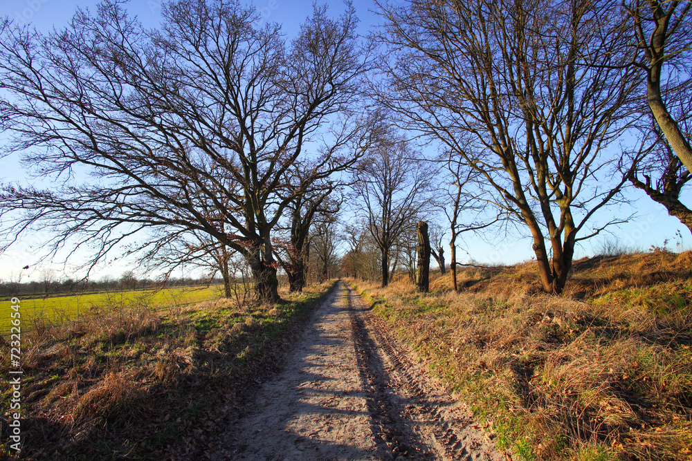 A touch of spring, first sunny days of the year in Berlin-Gatow