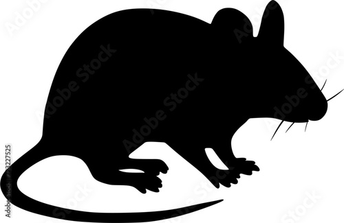 illustration of a mouse