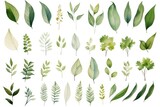 A bunch of green leaves on a white background. Can be used as a background or for nature-themed designs
