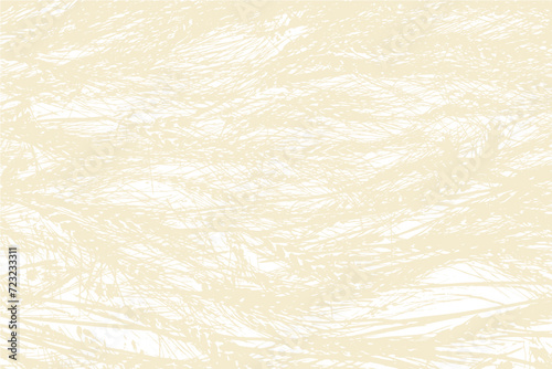 texture overlay winter wheat effect photo