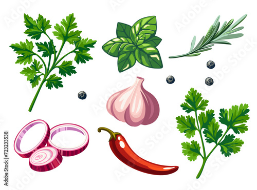 Set of spices and herbs with basil, garlic, chili, rosemary, parsley, onion and cilantro isolated on white background. Vector illustration in eps 10. Suitable for menu, recipe and cookbook 