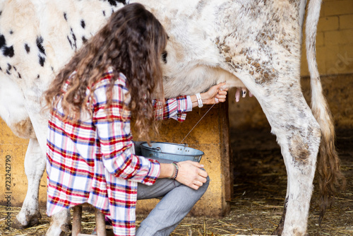 Farmer woman milking a dairy cow on a rural farm