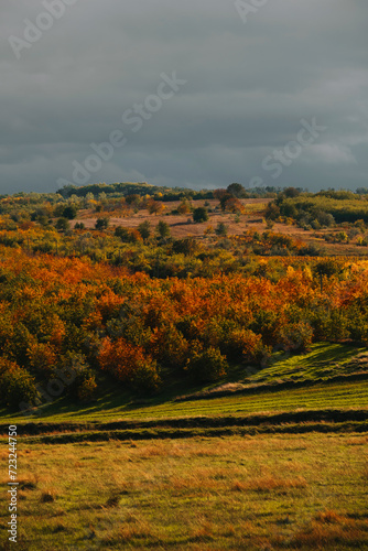 Vertical warm autumn landscape shot with sunlight on fields and dark grey sky.
