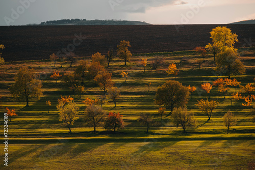 Beautiful warm autumn landscape with golden fields and trees at sunset in Moldova.