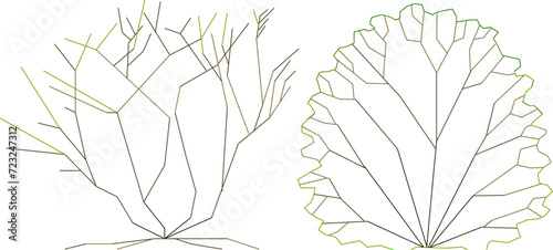 vector illustration design, collection of simple tree plant sketches for graphic completeness