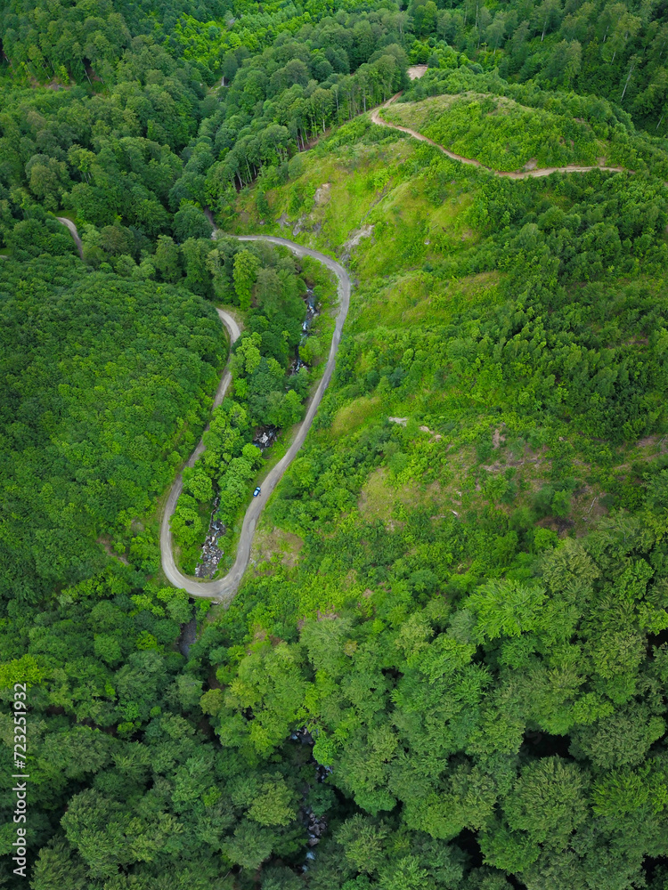 Aerial drone view above an exploitation of a beech forest inside the mountains. A sinuous road makes an u-turn when crossing over a stream flowing in the valley. The forest is regenerating. Carpathia.