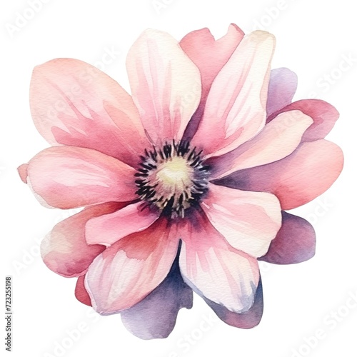 watercolor flowers  illustrations in handmade watercolor style on a white background  generative ai 