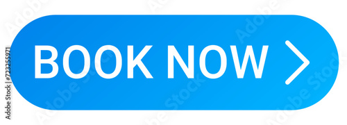 Book Now Buy Now Web UI Button Elements Isolated On White Background