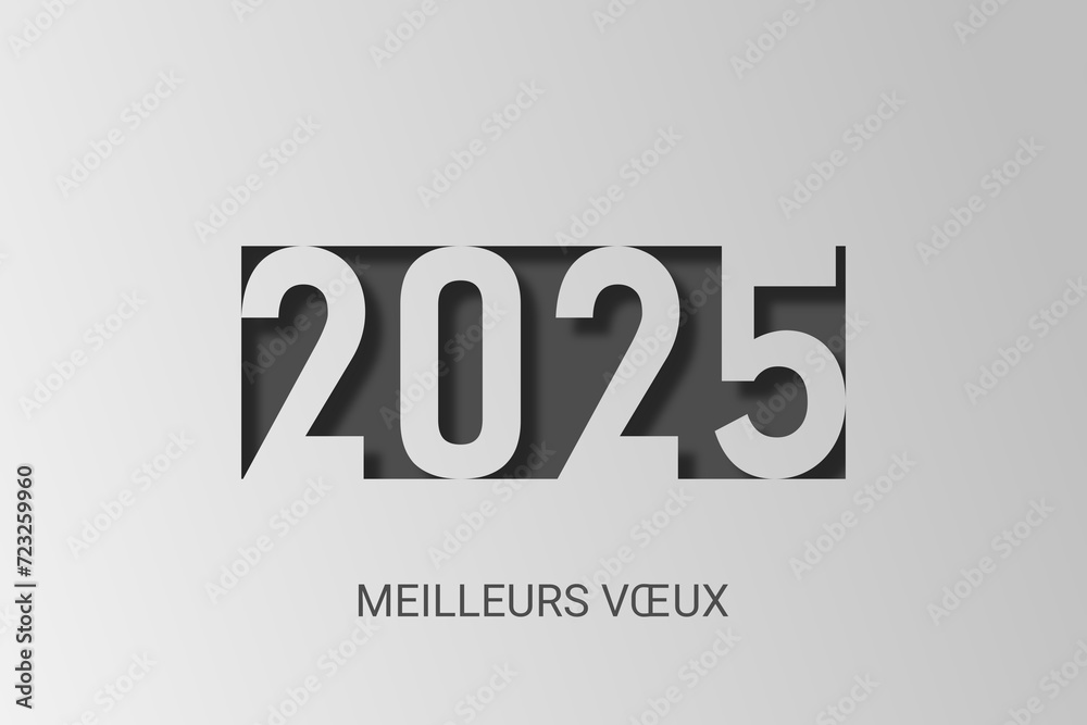 Bonne année - meilleurs vœux 2025 - vecteur pour affiche, bannière, salutation et célébration du nouvel an 2025. Bonne année - meilleurs vœux 2025 - vecteur pour affiche, bannière, salutation et célébration du nouvel an 2025.