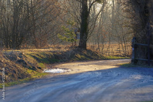 Wallpaper Mural Krajobraz Poleskiego Parku Narodowego. Torontodigital.ca