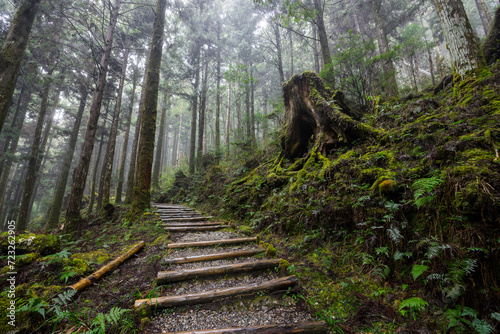 Hiking trail in National park in Taipingshan of Yilan Jianqing Huaigu Trail