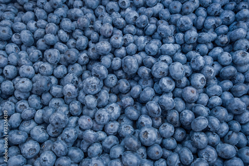 Lots of Fresh Delicious Blueberries photo