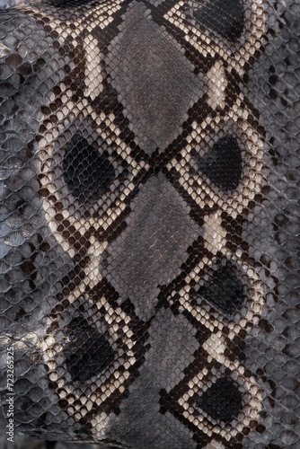 Dark python Exotic texture
 (ID: 723265325)