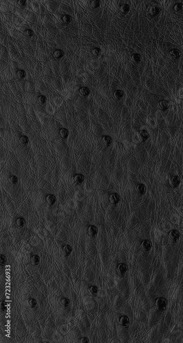 black Exotic ostrich texture
 (ID: 723266933)