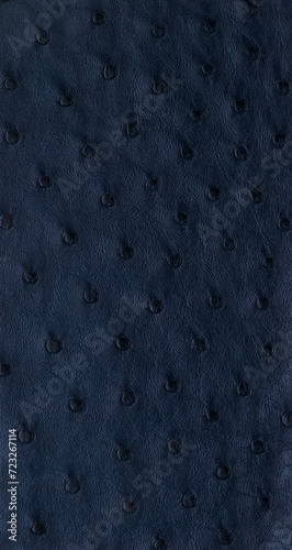 Blue Exotic ostrich texture
 (ID: 723267114)