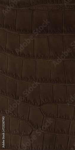 dark brown crocodile leather texture (ID: 723267143)