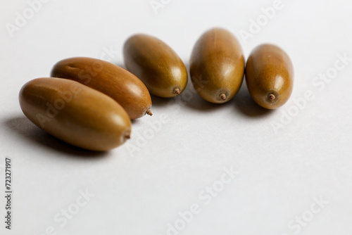 Five acorns on a white background photo