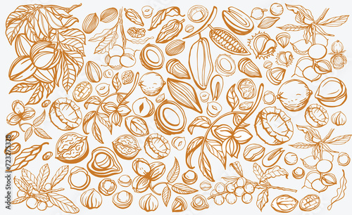 Big isolated vector set of nuts.Nuts and seeds collection on dark background. Peanuts  cashews  walnut  hazelnut  pistachios  almond  chestnut  pine nut  nutmeg  peanut  macadamia  coconut  pecan