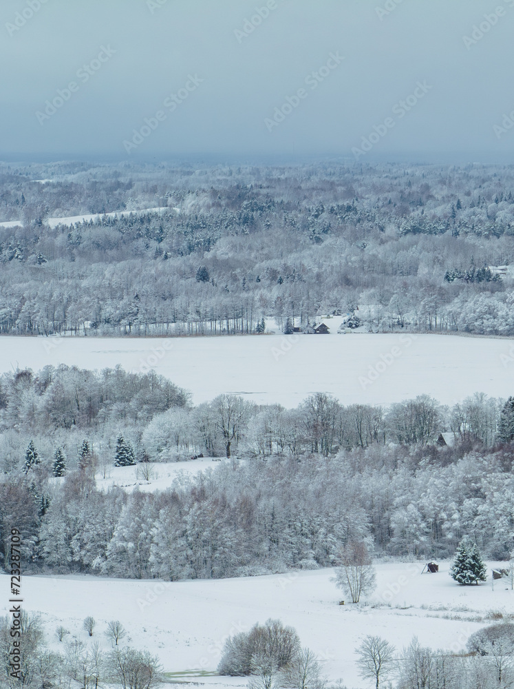 Winter landscape in the Latvian countryside (next to Lake Siver)