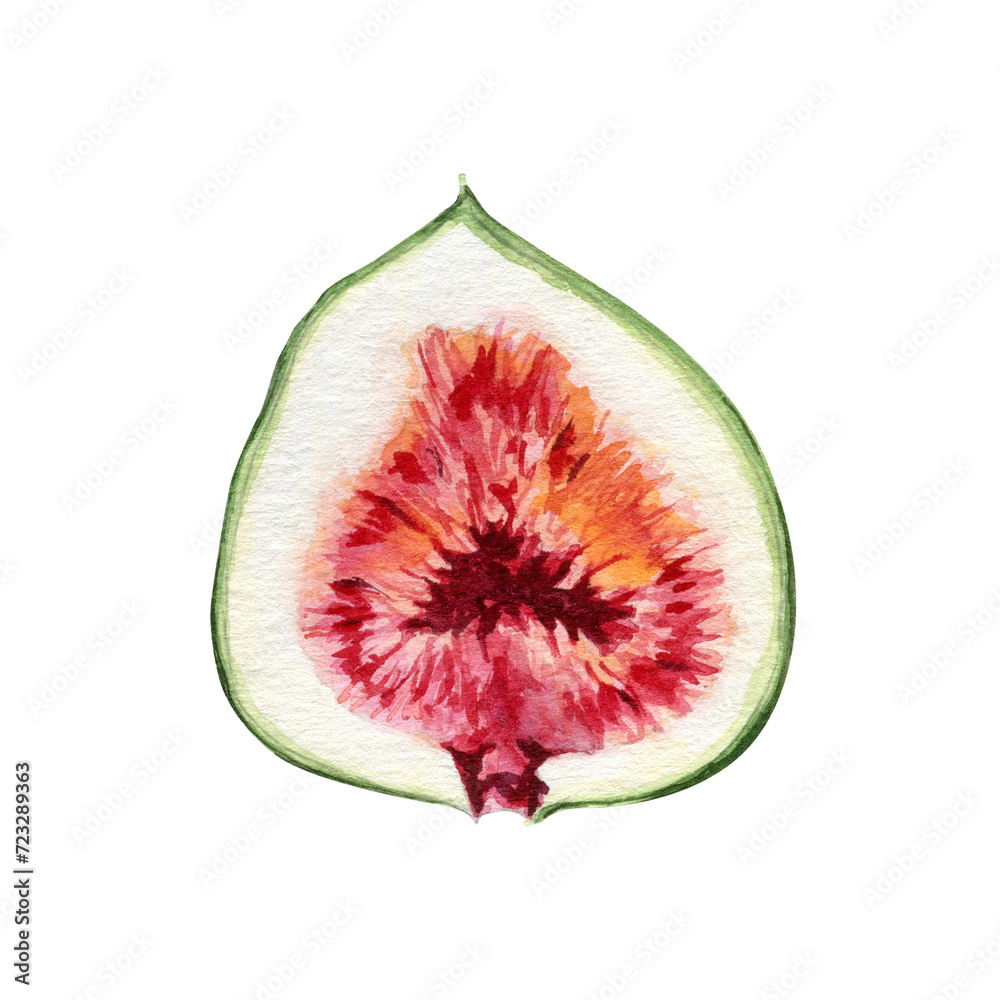 Watercolor figs clipart Illustration Watercolor figs clipart Illustration