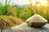 Uncooked white rice on wooden table with rice field background.