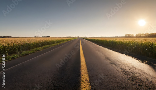 Whispers of Adventure Endless road through a Cornfield, whispering tales of faraway lands and untold stories 