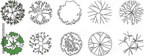 set of flat designs of architectural trees, top view with green
